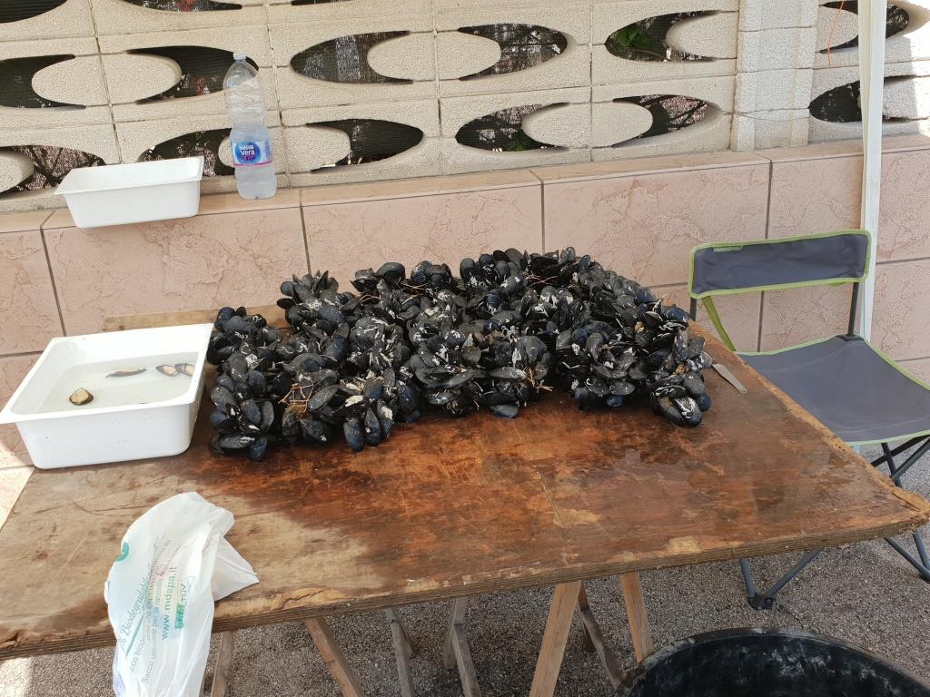 Spiagge Sicure Gli Interventi Della Guardia Costiera Brindisi